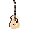 Martin LX1RE Little Martin Acoustic